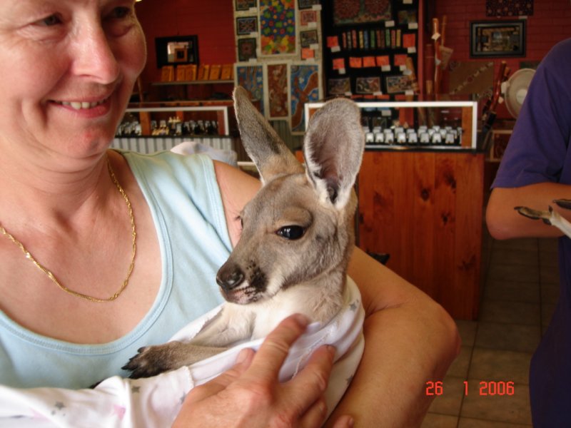 alicesprings2.jpg