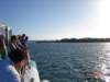 aufderfahrnachfraserisland_small.jpg