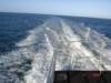 aufderfahrtnachfraserisland_small.jpg