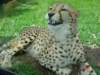 australiazoo10_small.jpg