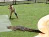 australiazoo15_small.jpg