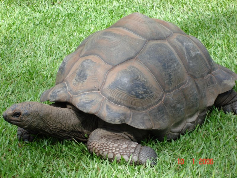 australiazoo2.jpg