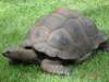 australiazoo2_small.jpg