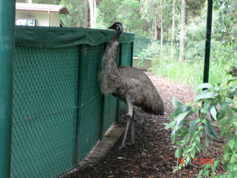 australiazoo5.jpg