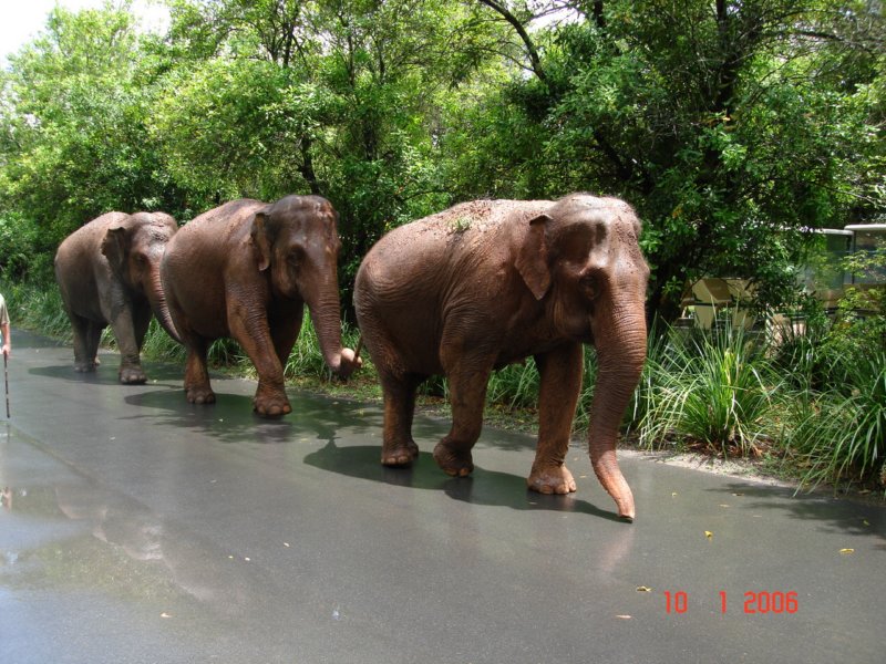 australiazoo6.jpg