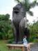 australiazoo8_small.jpg