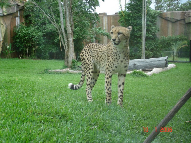 australiazoo9.jpg