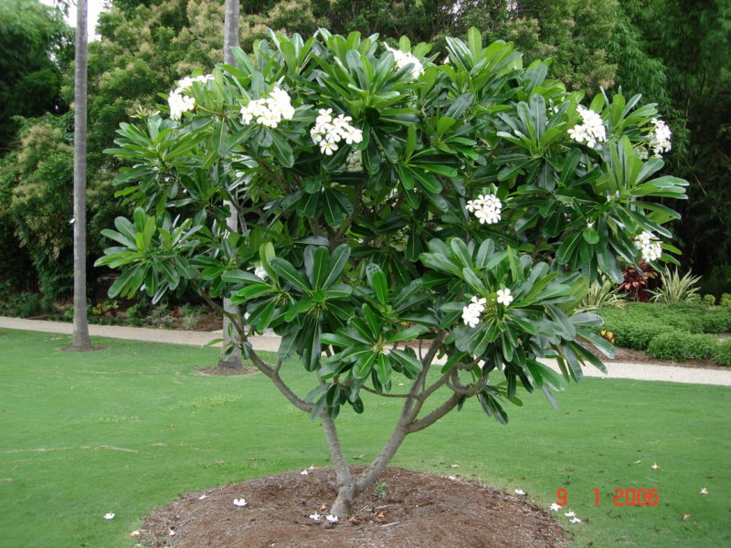 brisbane7.jpg