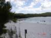fraserisland5_small.jpg