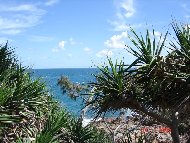 kstequeensland6.jpg