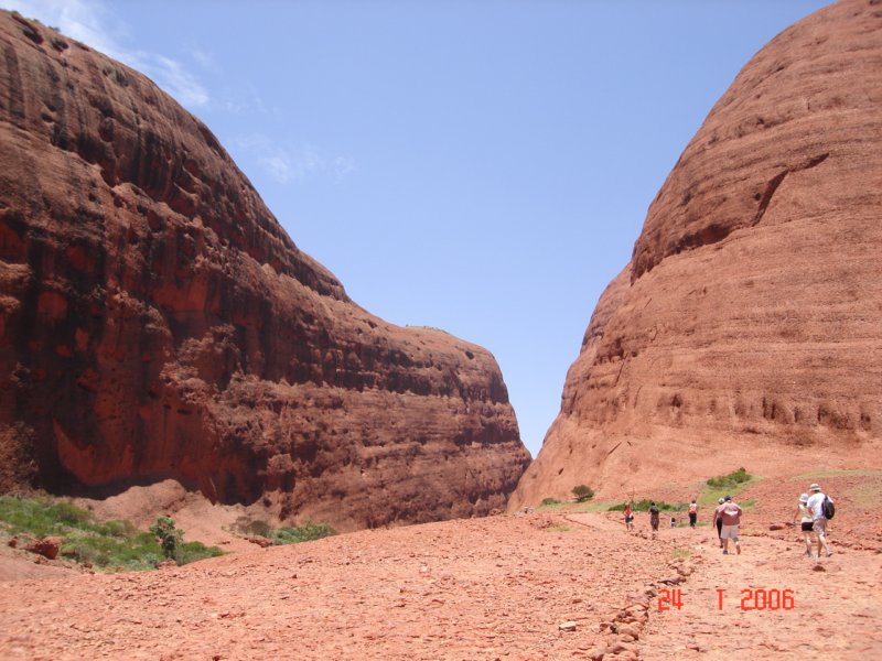 olgas2.jpg