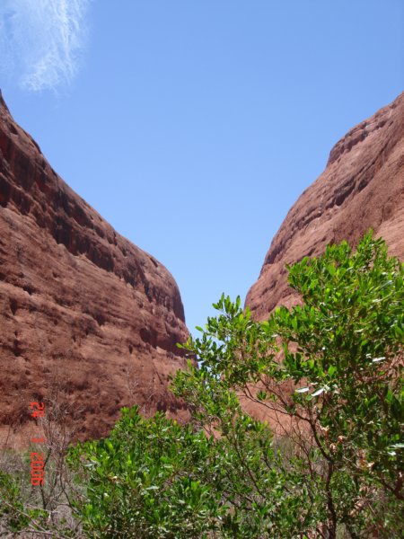 olgas4.jpg
