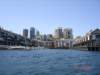 sydney16_small.jpg
