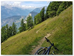 Trail
