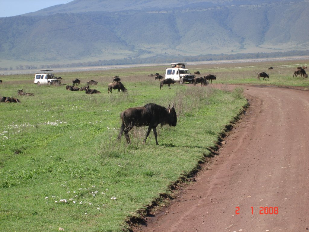 kilimanjaro2007_08254.jpg