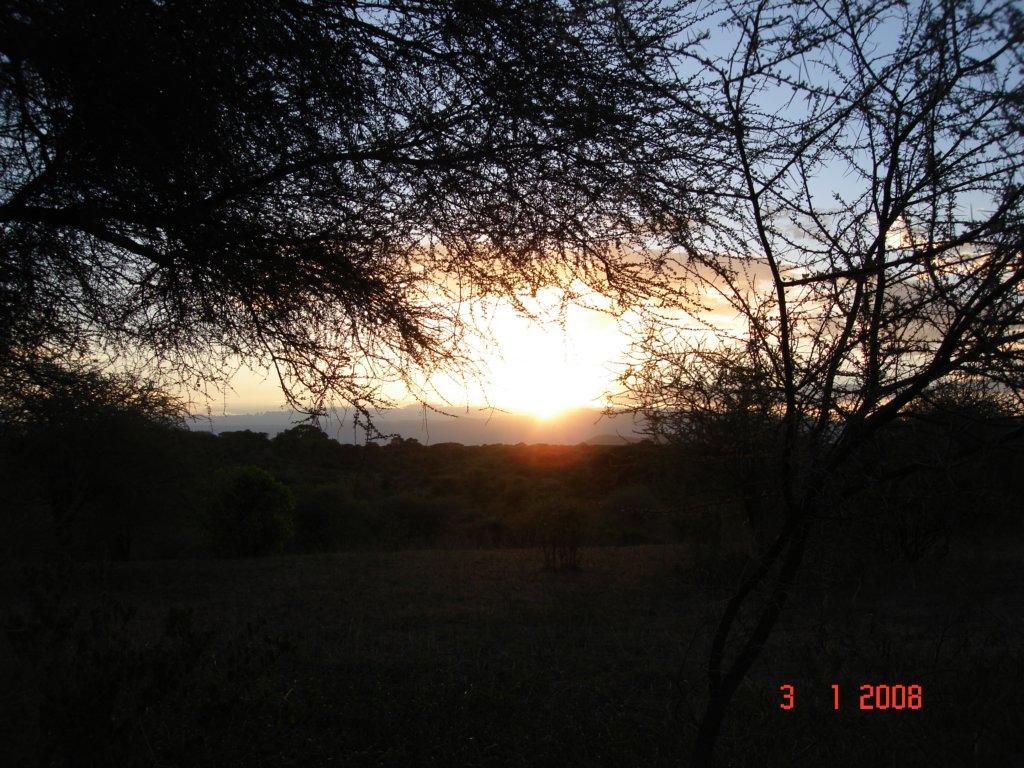 kilimanjaro2007_08294.jpg