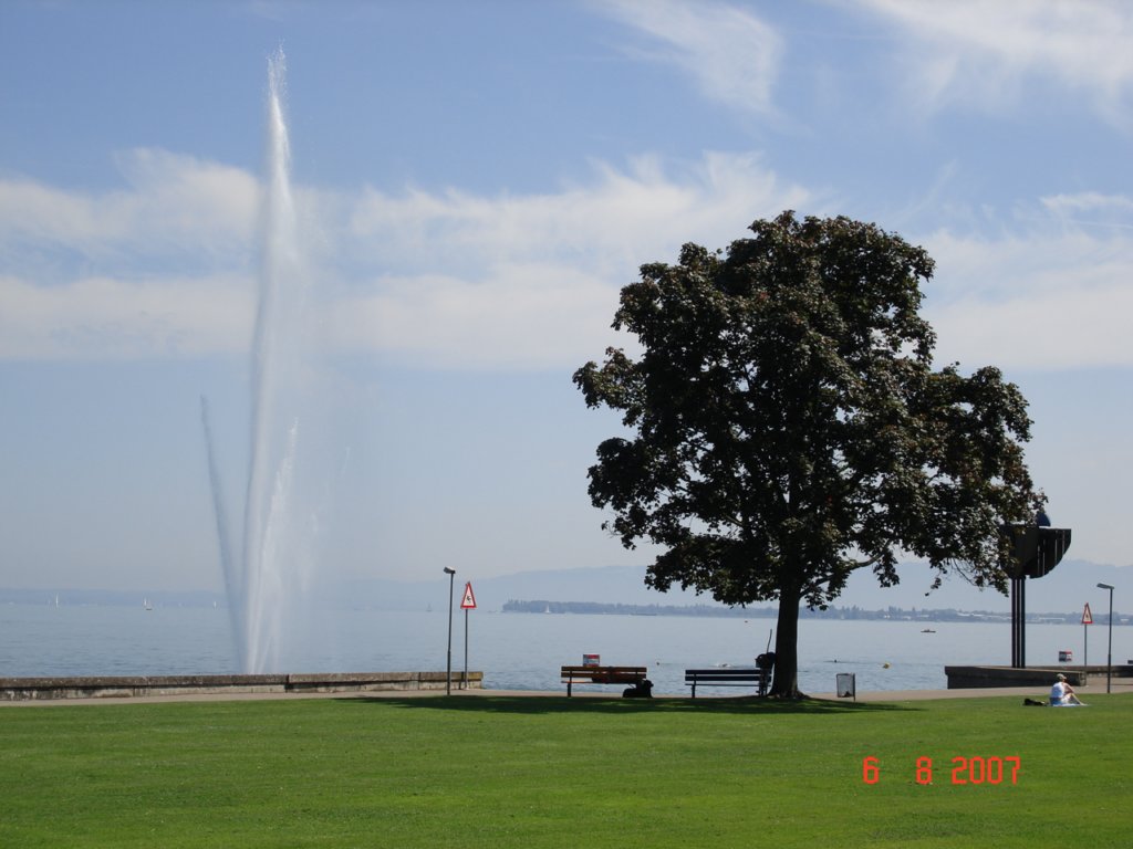 bodensee5.jpg