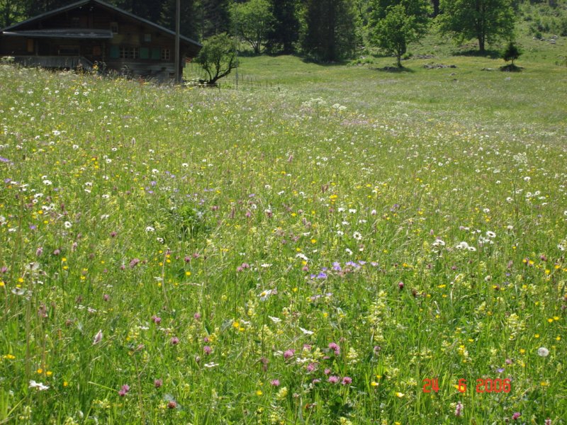 seebergsee35.jpg