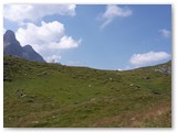 P1020647d